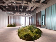 隈研吾建築都市設計事務所が監修した新オフィスのエントランスホール。隈氏が得意としている和素材で、オフィスの中に「森」を表現していただきました。