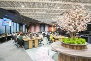 オフィスにはYOLO JAPANのロゴをかたどった桜が通年咲いています。