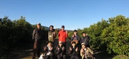 「クラダシチャレンジin三重県御浜町」で活動したミカン畑での集合写真