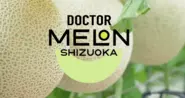 「Doctor Melon」は、温室メロン出荷量日本一の静岡県で生まれた、腎臓疾患の方でも食べやすいカリウム低減メロンです。