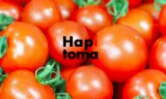 「Hapitoma」は、生鮮トマトの概念を変えるGABA・リコピンのダブル成分の機能性表示食品。