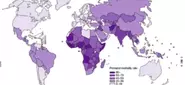 世界の周産期死亡のほとんどは途上国で発生