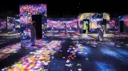 「teamLab: Living Digital Forest and Future Park」