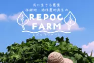 自社農園【REPOC FARM】