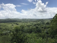 Zorzal, Dominican Republic