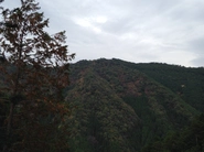 宮川山林は8つの林区に分かれており、杉・ヒノキが植え分けられています。尾根沿いには広葉樹林が広まっています