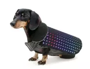 「Disco Dog」（2015）NYオフィスの完全自社開発プロダクト: スマホで操作できる愛犬用のLEDベスト
