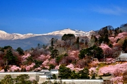 安達太良山の雪山と桜と城と。あなたの力で地域に魅力を。