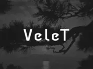 動画広告プラットフォーム『VeleT（ベレット）』を自社で開発・展開しています。今まで不明瞭だった動画広告の流入を可視化し、効率的・効果的なマーケティング活動を実現することができます。