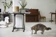 獣医師監修の猫用水飲み器IZUMI