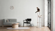 カリモク家具とコラボレーションした猫用木製家具ブランド「KARIMOKU CAT」