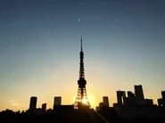 会社から見える夕暮れの東京タワー！