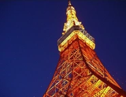 東京タワーの１階・展望台・特別展望台に、当社のWi-Fi設備が導入されています。外国人観光客の方が展望台で写真を撮影、Wi-Fiに接続してその場でSNSにアップする姿も！