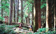 古来より山伏の修験道場とされてきた英彦山。ここでの「野遊び」も計画中！