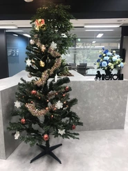 2019年12月 毎年恒例のクリスマスツリーを飾っています♪