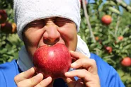 「りんご」をカジル宇都宮市の農家さん