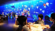 「 お絵かき水族館」巨大水族館に自分の描いた魚を泳がそう！