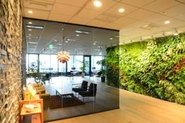 本社オフィスのエントランス。本物の植物でできた緑の壁が特徴です。
