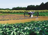 「農業×IT」ドローンからの空撮映像を解析し、病虫害へピンポイント農薬散布
