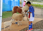 ホームゲームに移動動物園が来ちゃうのは、ドキドキ、ワクワクをお届けしたいから！