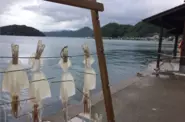 昔ながらの海との暮らしを大切にしています