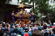 お祭り大好き。毎年浅草での三社祭りで神輿を担がせていただいています。