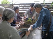 山野草の庭におく寄せ植えを作る