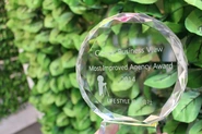 Google社からMost Improved Agency Award（最高成長率賞）を頂きました。