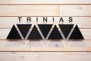 社名であるトリニアスは、「TRINITY」と「BIRTH」を掛けあわせたもの掛け合わせたものです。