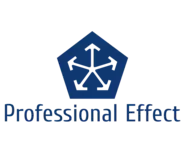 プロフェッショナルエフェクトの企業ロゴです。