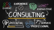 Consulting Sector