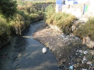 自然界に流出するポイ捨てごみ（インド、チェンナイで撮影）