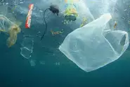 進む海洋汚染。昨今、プラスチックによる海洋汚染の実態が表面化し、海洋生物が餌と間違えて摂取してしまい、健康被害が起きている実情などが盛んに報道されるようになりました。 同時に「マイクロプラスチック」の問題も明るみになり、生態系への影響が懸念されています。当社はこのような社会課題を解決し、持続可能な社会を実現するため、ペットボトル削減という大きな課題に挑戦しています。