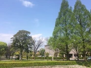 オフィス周辺には芝生の広場や季節の移ろいを感じる木々が立ち並び、リフレッシュ効果絶大！