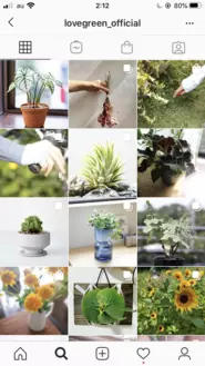 instagramのフォロワーは2万人。商品の楽しみ方や季節の植物を紹介しています。