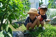 日本の将来の子供たちの為、生産性と消費者が循環している状態を作り続けていきたいです。