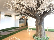 桜咲くオフィス！日本の象徴である桜がコンセプト。