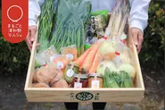 地域商社で津和野の野菜の定期便サービスを開始！