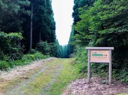 熊本県阿蘇郡小国町に保有している「インフォテリアの森」（※アステリアの旧社名）