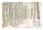 2020年、ウッドデザイン賞を受賞した内装案件。木材を用いるコンセプチュアルな案件が多数。