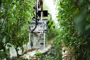 ビニールハウス内を吊り下げで移動する自動収穫ロボット