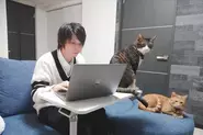自宅で大好きな猫とも一緒に働けます！