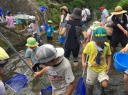 子どもと一緒に川の生き物を探すプログラム