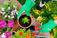 MIDOLASサイトでは外構・お庭づくりに役立つ情報やお庭の楽しみ方も発信
