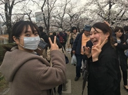 上野公園で花見したり