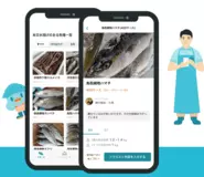 産直鮮魚仕入れアプリ「UUUO」
