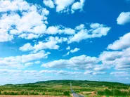 地方創生事業では、鹿児島県の離島、喜界島に支社を出しました。隔離された地域でどのように社会問題を解決するか、日々本気で向き合っております。