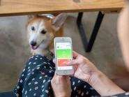 スマホアプリで愛犬の気持ちを確認！