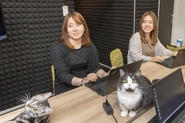 オフィス猫のあずきちゃん（右）とごまちゃん（左）も大事な社員の一員です
