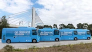 Deployment in Sydney - On-demand public buses